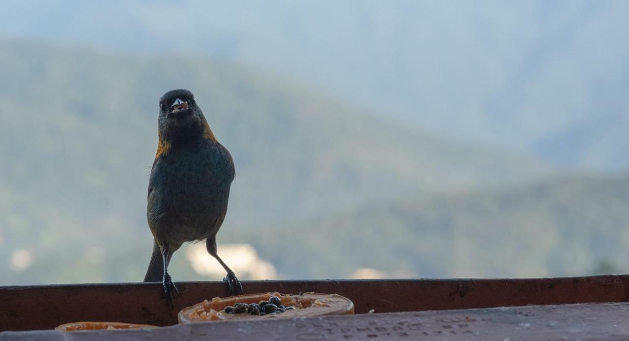 Ore Suites E Chales Ubatuba Dış mekan fotoğraf