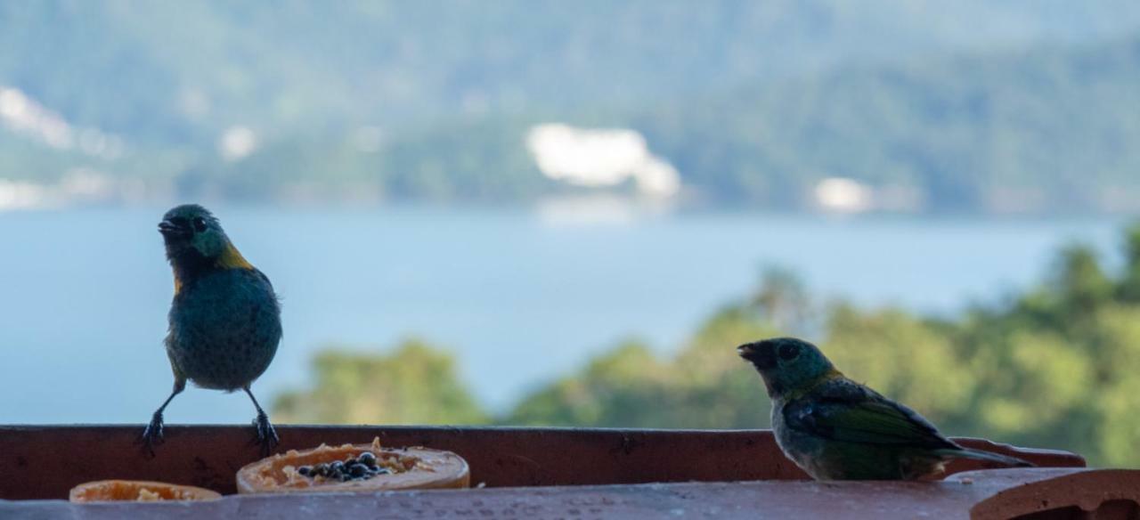 Ore Suites E Chales Ubatuba Dış mekan fotoğraf